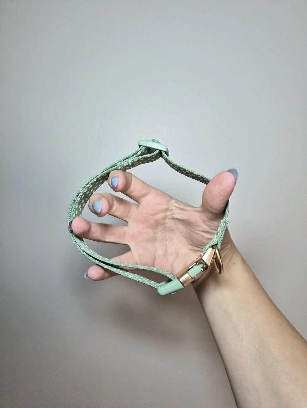 Adjustable Mint Green Polka Dot Dog Collar with Gold Hardware